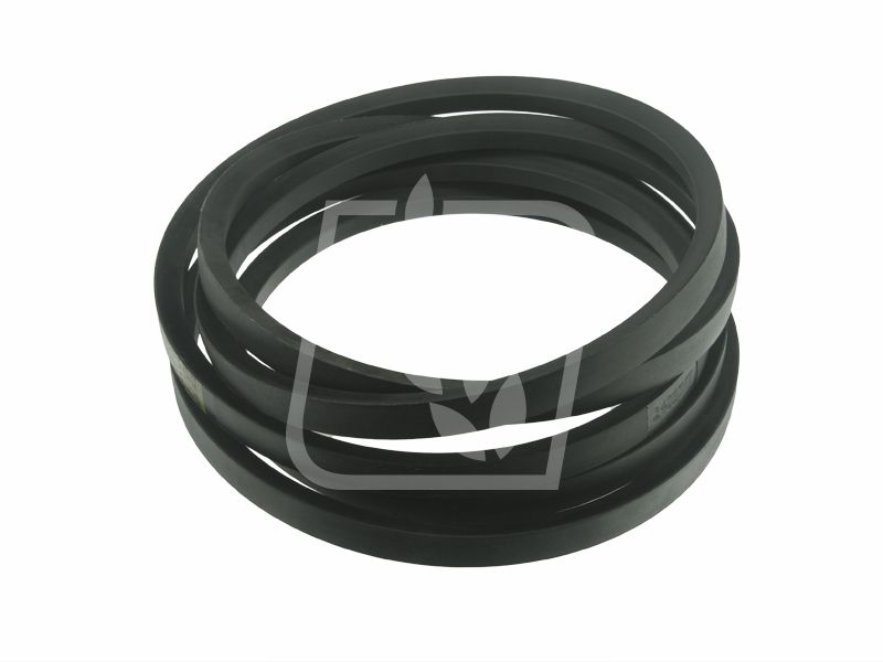 Pas 01141666 22 x 4749