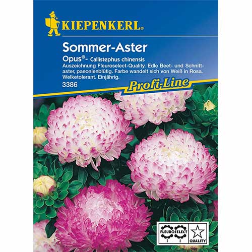 1 szt, Őszirózsa kerti bazsarózsa Opus Kiepenkerl - Magok: Mod de ambalare: 1 db