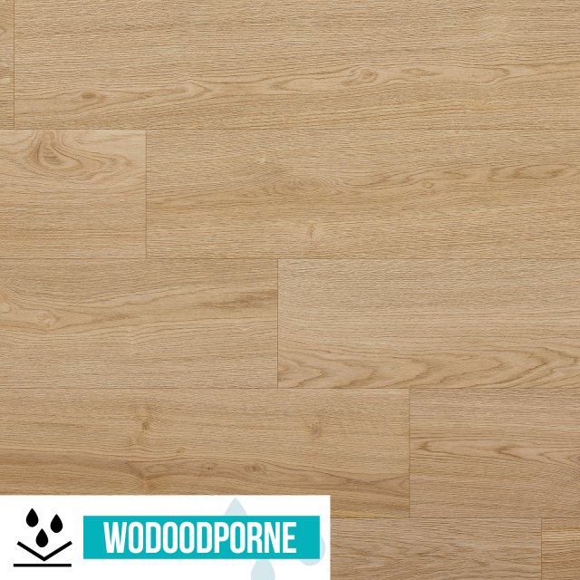 Panele winylowe SPC BARLINEK HOME DĄB LOTTA KL 23-33 5,2 mm