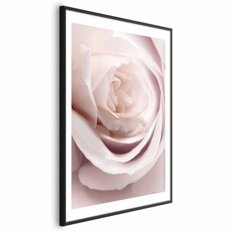Plakat Artgeist Porcelanowa róża 21x30 cm z ramą czarną 1 szt