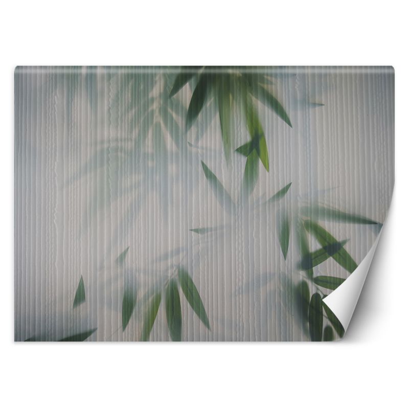 Fototapeta Feeby Liście mgła natura 200x140 1 szt