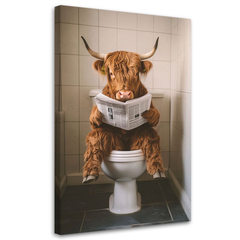 Obraz na płótnie Feeby Szkocka Krowa z Gazetą w Toalecie 40x60cm 1szt