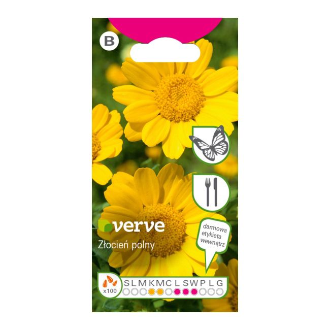 Nasiona złocień polny Verve