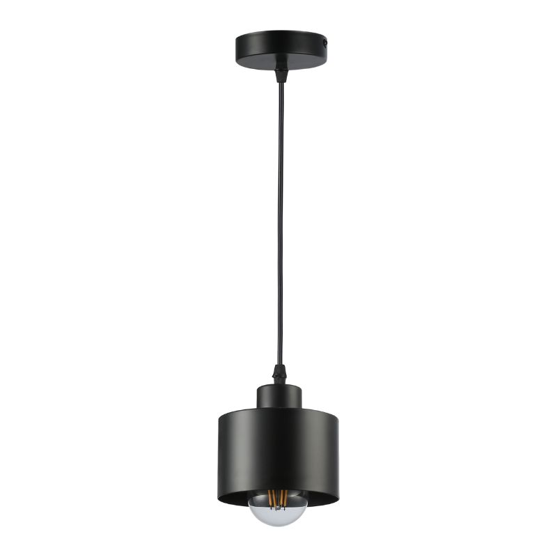 Oprawa wisząca, DPM, 1 x E27, czarna, 1szt