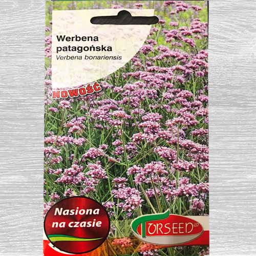1 szt, Werbena patagońska - Nasiona: Ilość w opakowaniu: 0.1 g