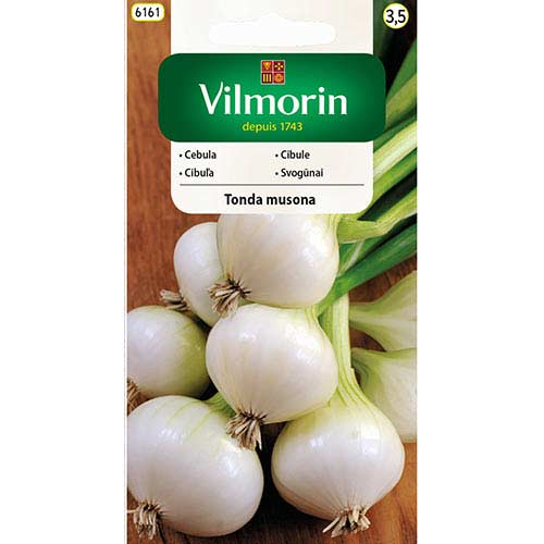 1 szt, Cebula biała Tonda Musona Vilmorin - Nasiona: Ilość w opakowaniu: 2 g