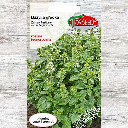 1 szt, Bazylia grecka - Nasiona: Ilość w opakowaniu: 0.1 g