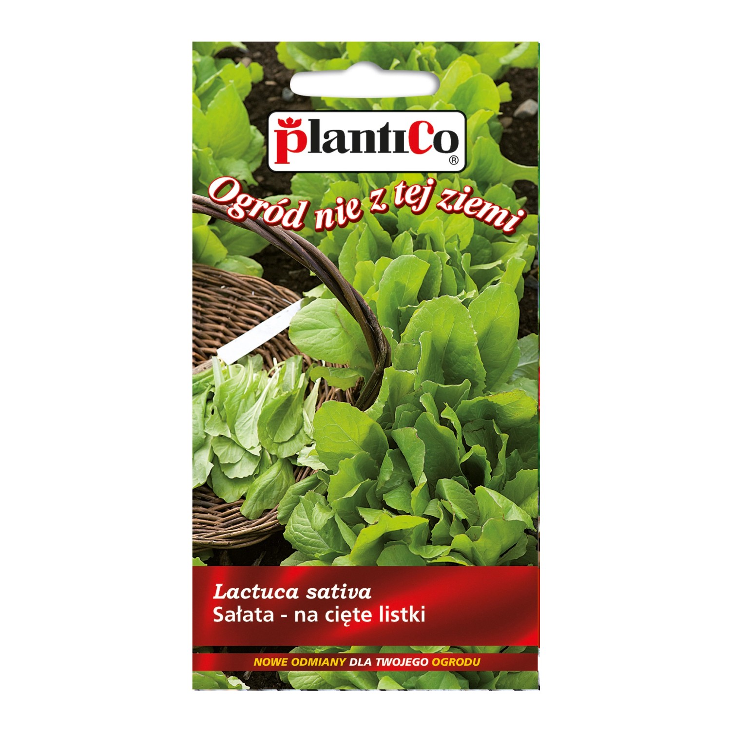 Sałata na cięte listki główki zielone - 1 g