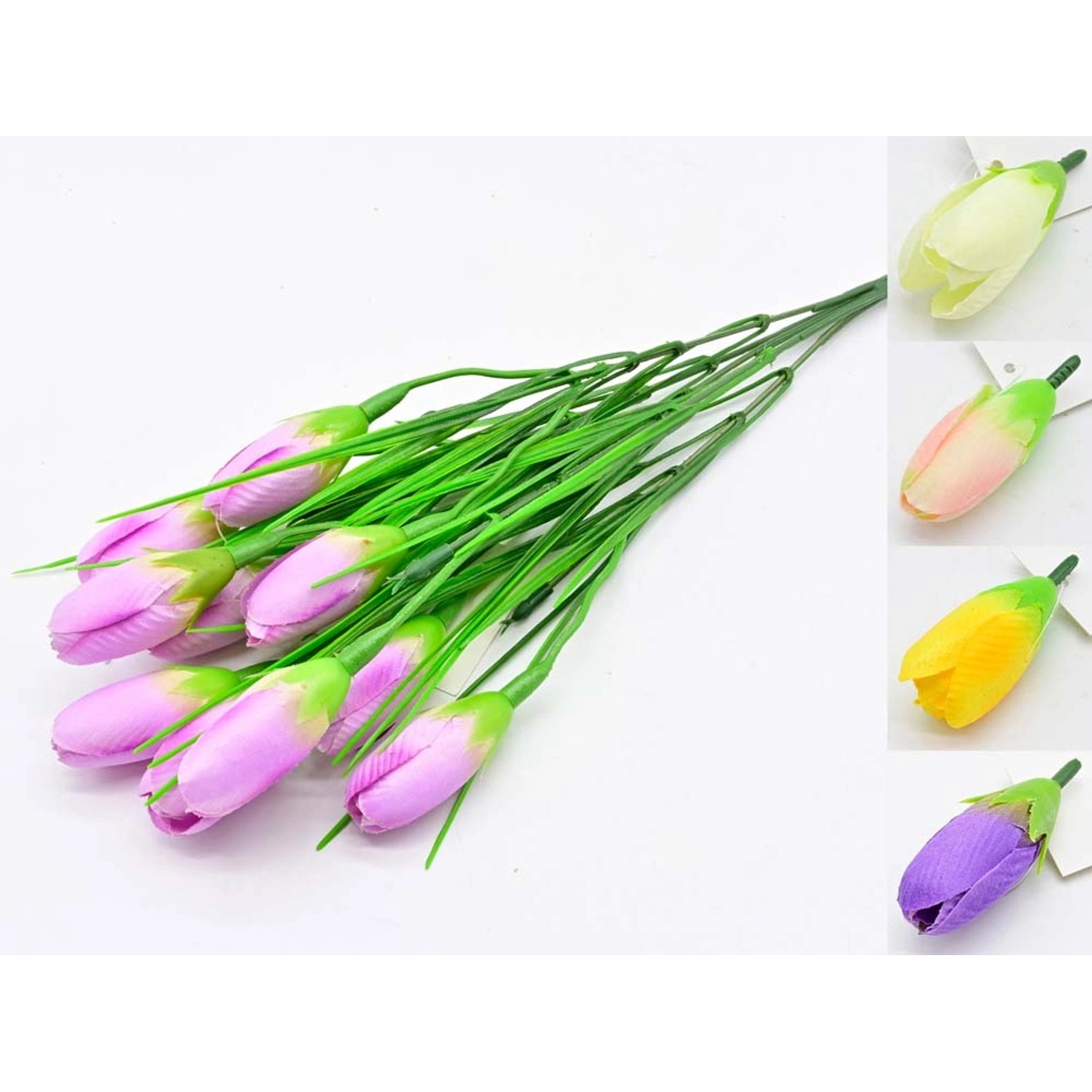 Krokus bukiet - wys. 30 cm