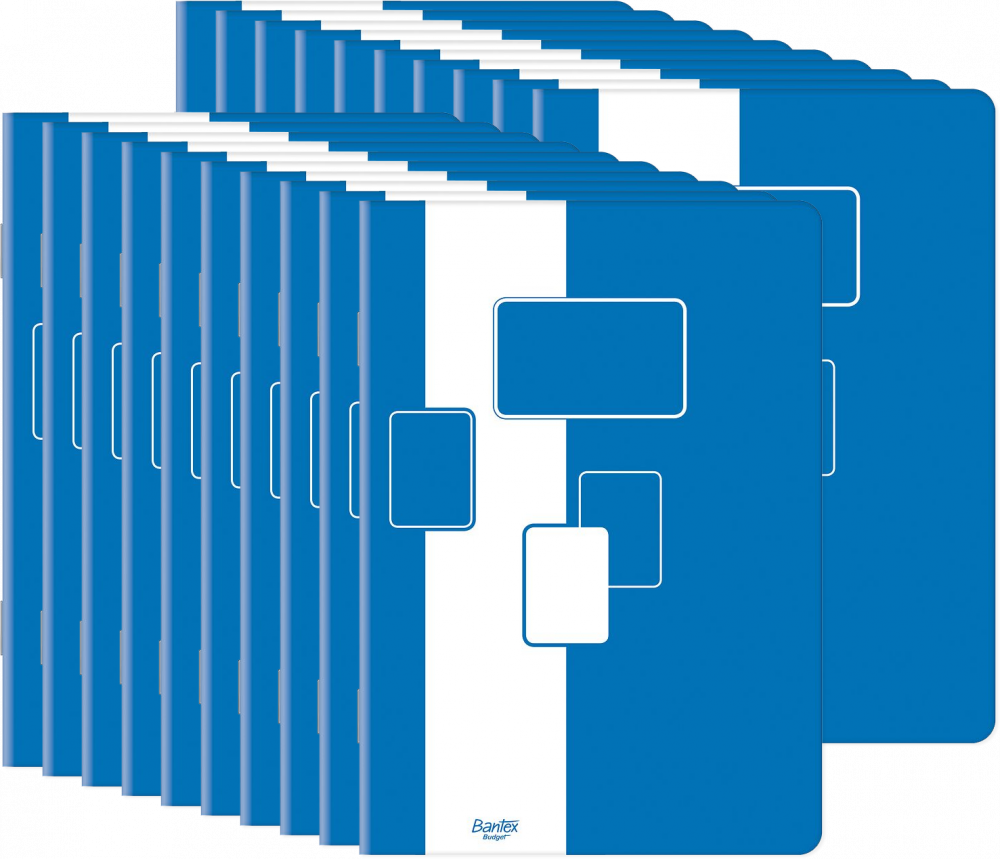 20x Zeszyt w kratkę Bantex Budget, A5, 60 kartek, biało-niebieski