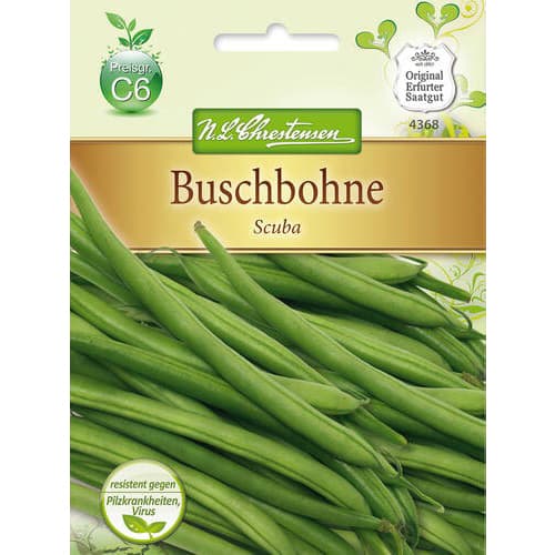 1 szt, Buschbohne Scuba - Samen: Ilość w opakowaniu: 1 Stück