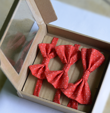 3 Muszki dla taty i dwóch synów