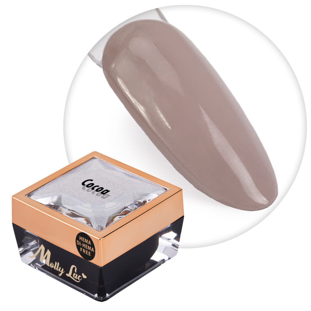 Żel do zdobień Ombre Gel paint gel ombre ornamenty MollyLac Cocoa HEMA/Di-HEMA Free Nr 21 5g