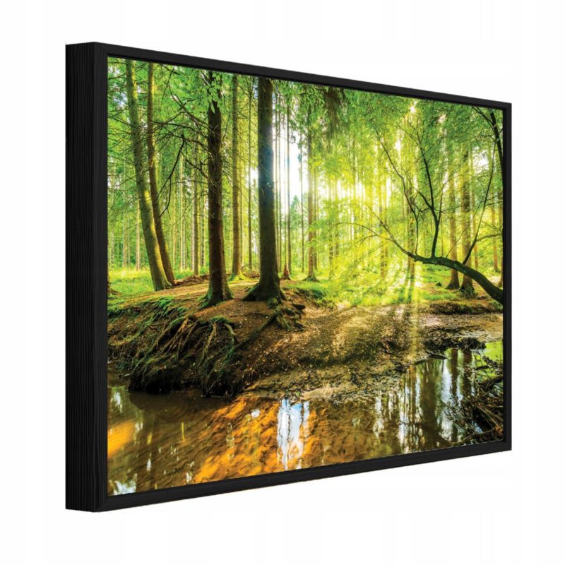 Obraz W Ramie WALLARENA Do Sypialni Salonu Na Płótnie Las Natura Drzewa Zielony 60x40 cm PPR10513O4 1 szt.