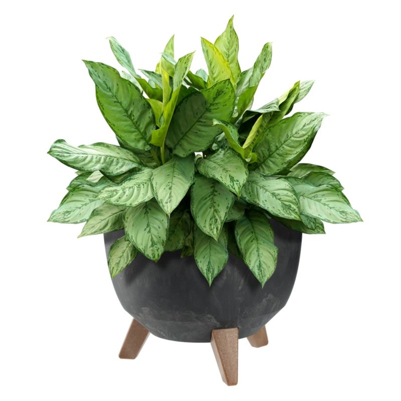 Doniczka KADAX Donica Na Kwiaty 29cm Osłonka + Wkład Nóżki Korek Kwietnik Czarna 1 szt.