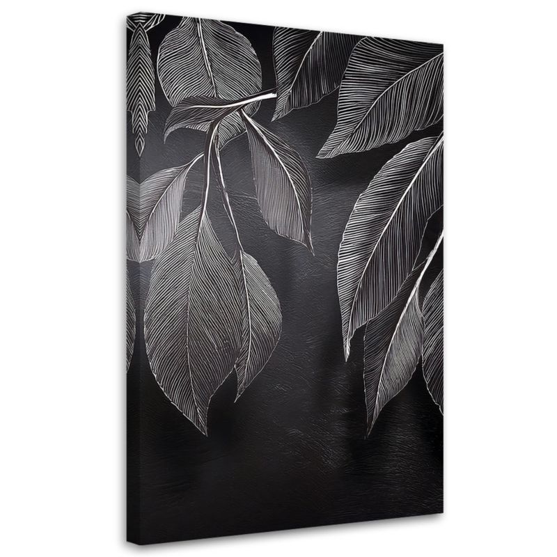 Obraz do salonu Feeby Minimalizm Liście Rośliny Czarno Biały 40x60cm 1szt