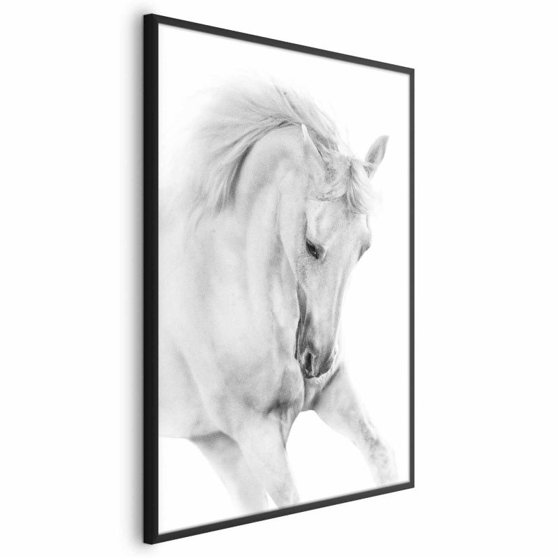 Plakat Artgeist Biały koń 60x90 cm z ramą czarną 1 szt