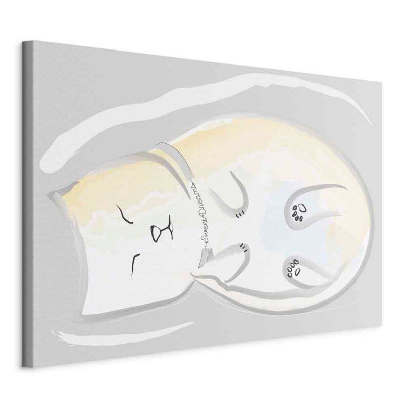 Obraz Artgeist Zaspany kotek 30 x 20 cm płótno włoskie 1 szt