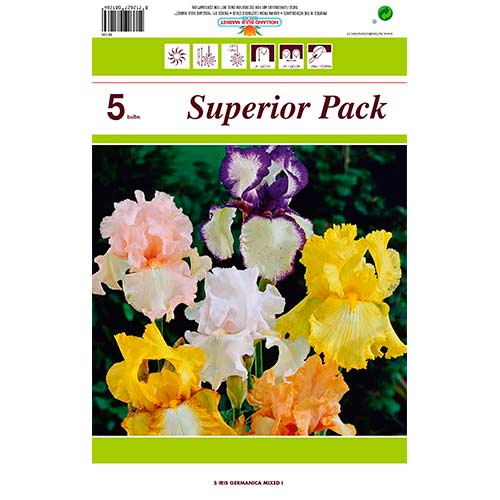 1 szt, Irys bródkowy (Kosaciec), mix kolorów - Byliny: Ilość w opakowaniu: 5 szt.