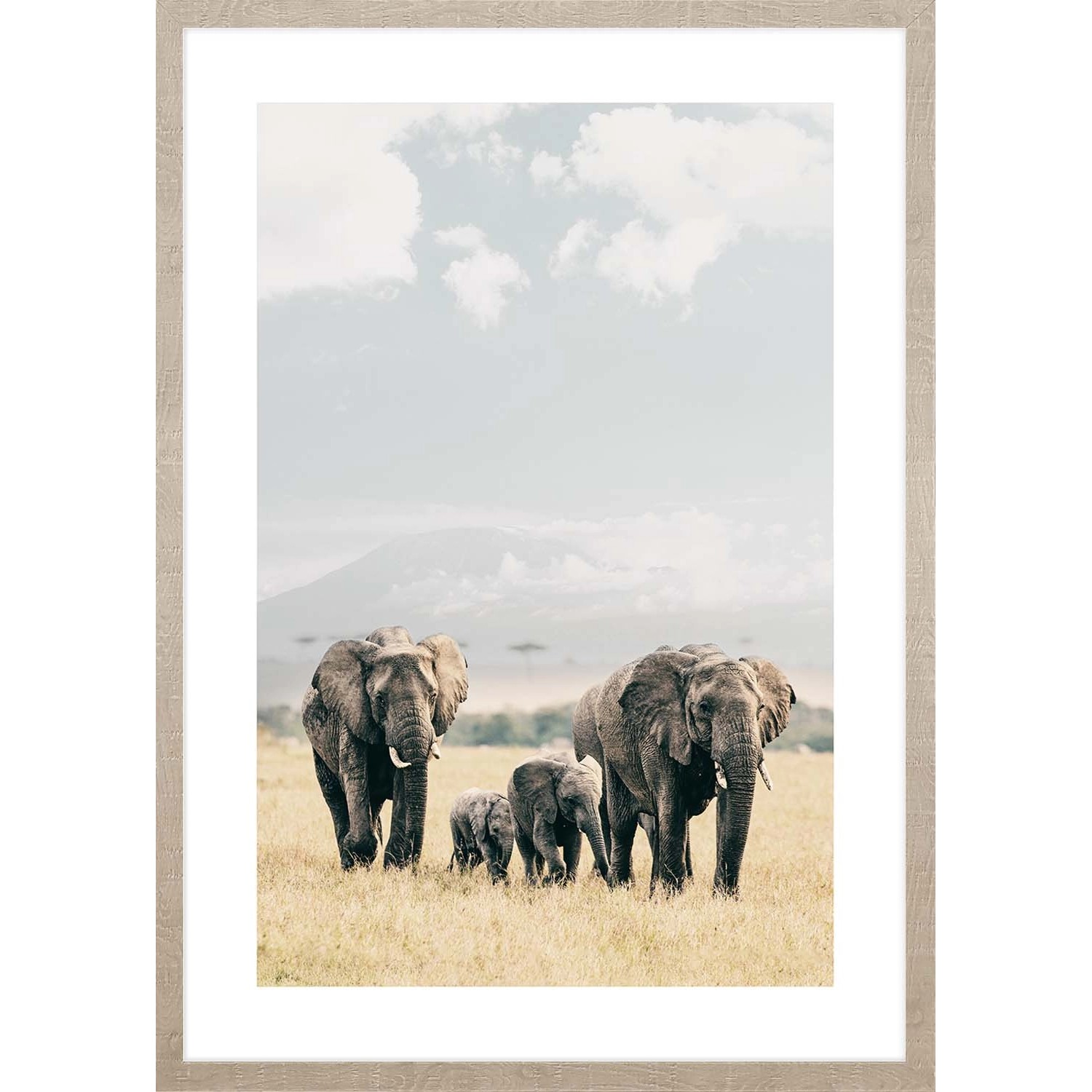 ARS LONGA Obraz ELEPHANT TRAVEL 53 x 73 cm