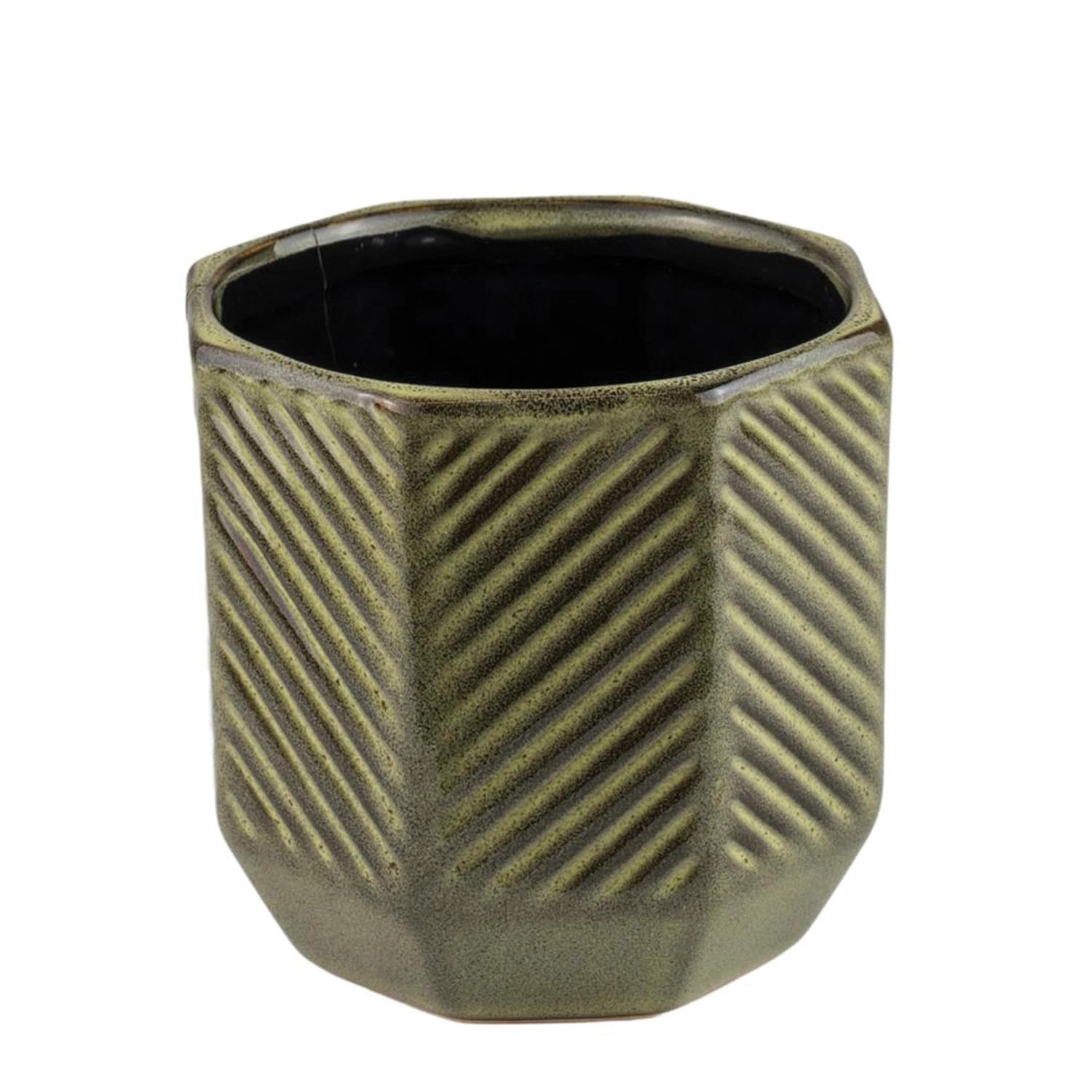 Direct H&G Osłonka Seth zielona - 10,5 cm