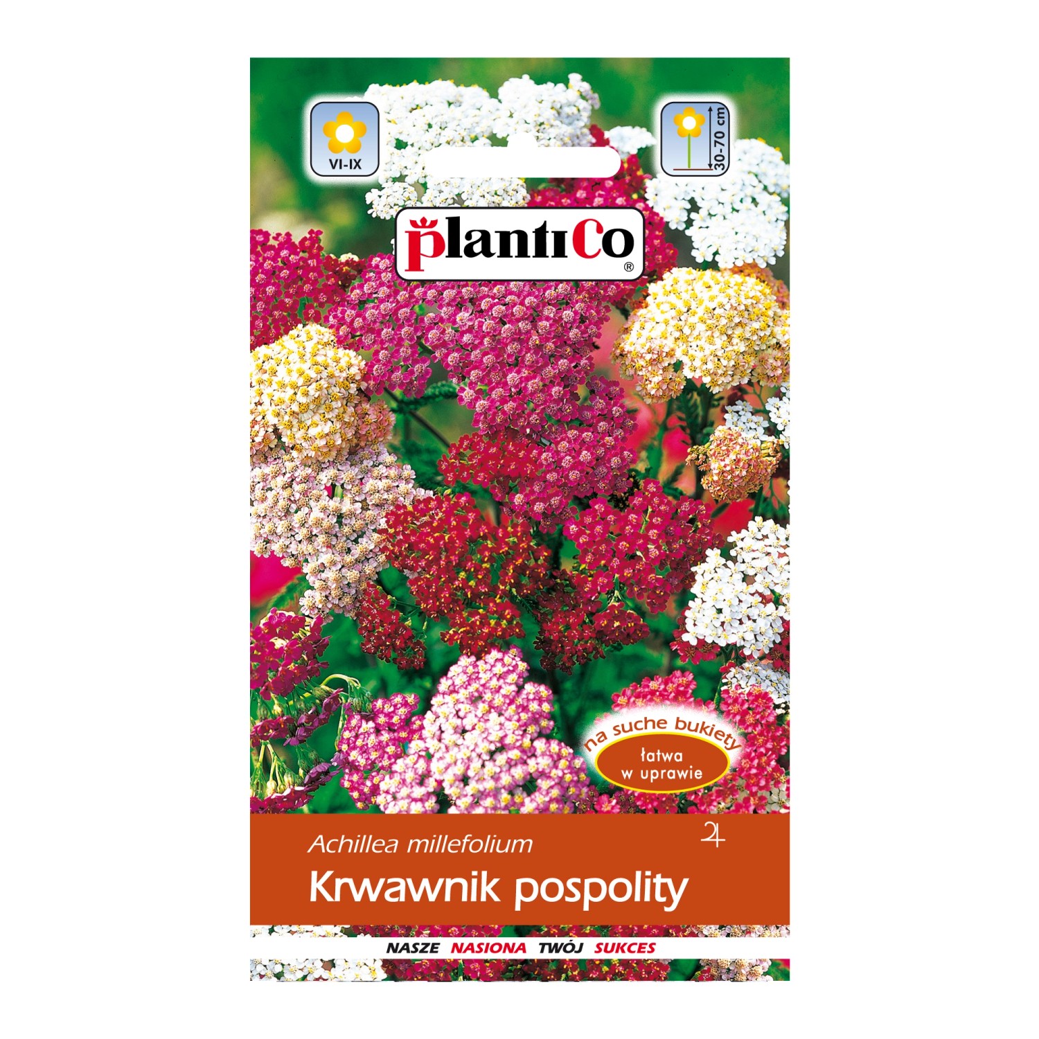 Krwawnik pospolity mix