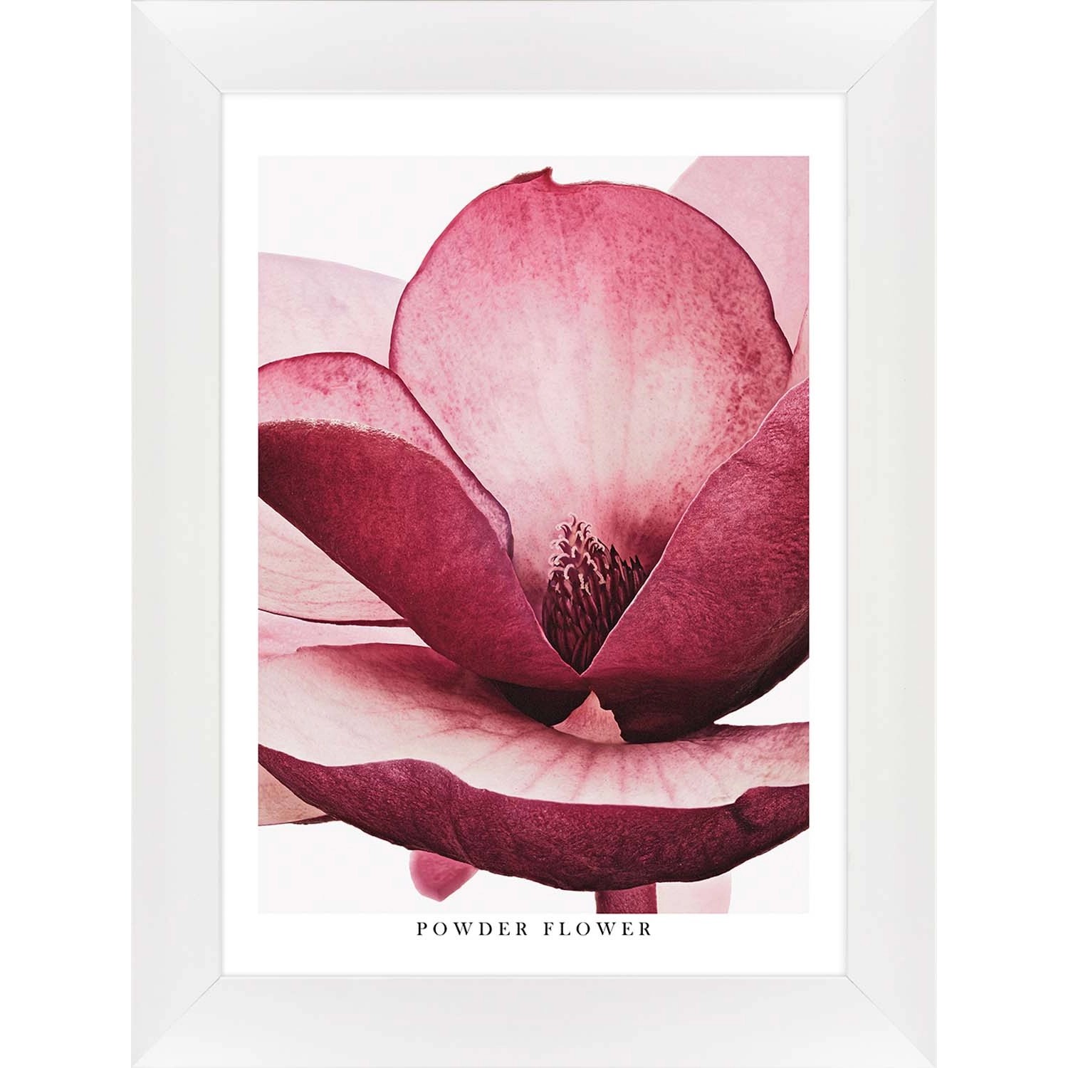 ARS LONGA Obraz SHADED PINK FLOWER 64 x 84 cm