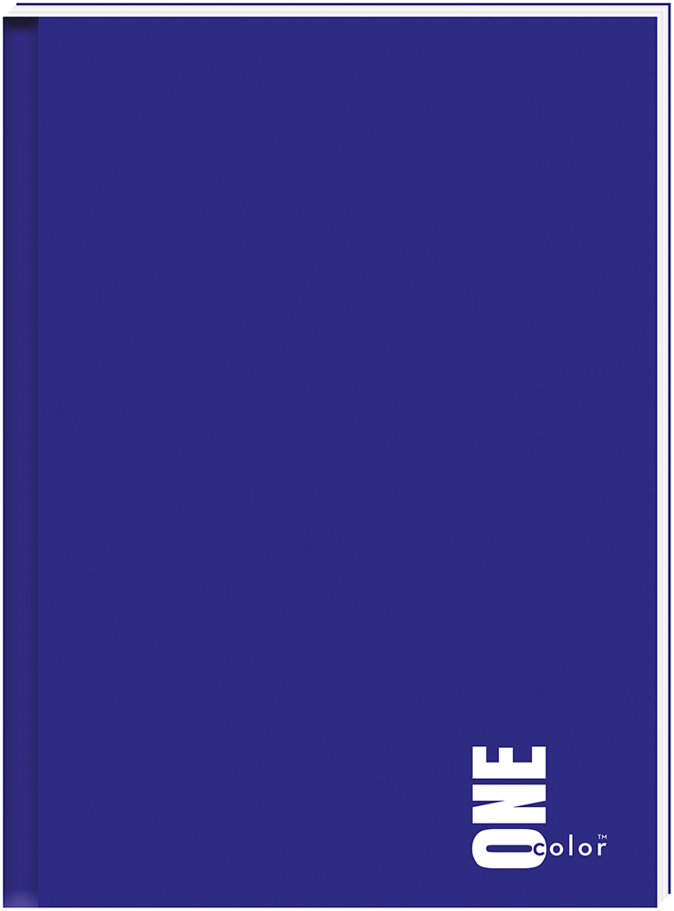 Brulion w kratkę Interdruk One Color, A4, twarda oprawa, 96 kartek, mix wzorów