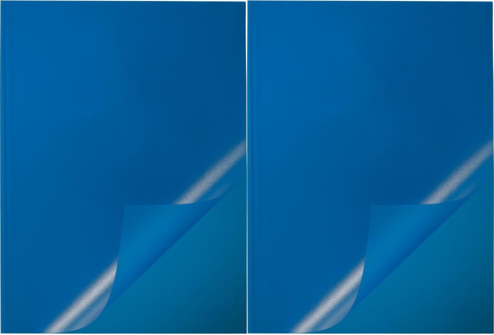 2x Okładka do grzbietów wsuwanych Durable, A4, do 100 kartek, niebieski