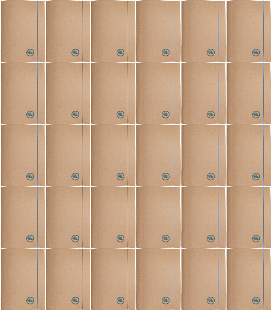 30x Teczka kartonowa z gumką Barbara Eco, A4+, 300g, woda