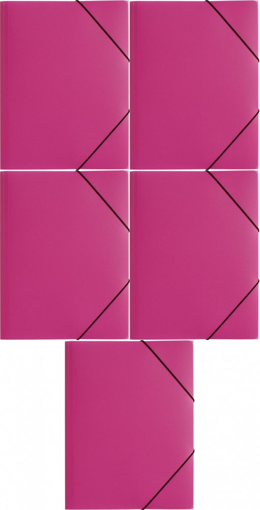 5x Teczka plastikowa z gumką Pagna, A4, 3 skrzydłowa, różowy