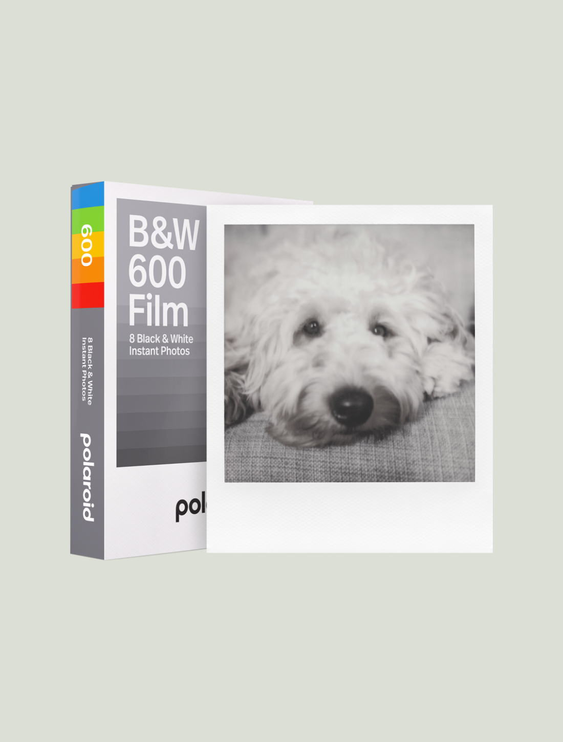 Wkłady POLAROID 600 Black&White Frame