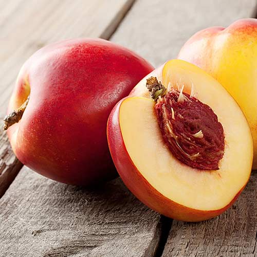 1 saz, Nekrarinka Orlando - : Monžstvo balíkov: 1 saz