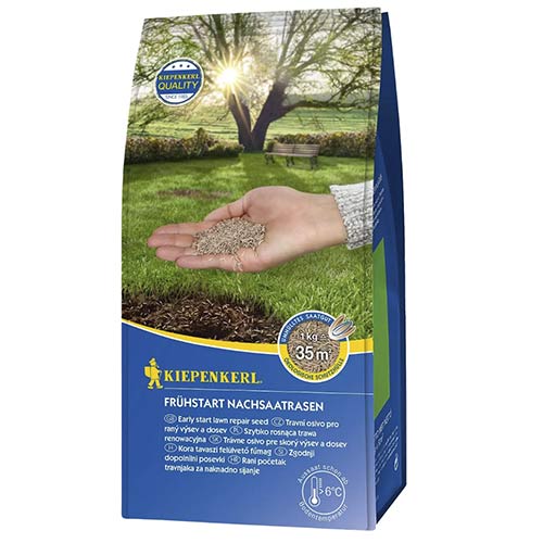 1 szt, Gyepmag felülvetéshez Early Start - Magok: Mod de ambalare: 1 kg