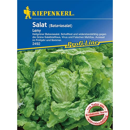 1 szt, Saláta Leny - Magok: Mod de ambalare: 1 db