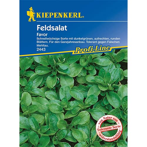 1 szt, Feldsalat Favor - Samen: Ilość w opakowaniu: 1 Stück