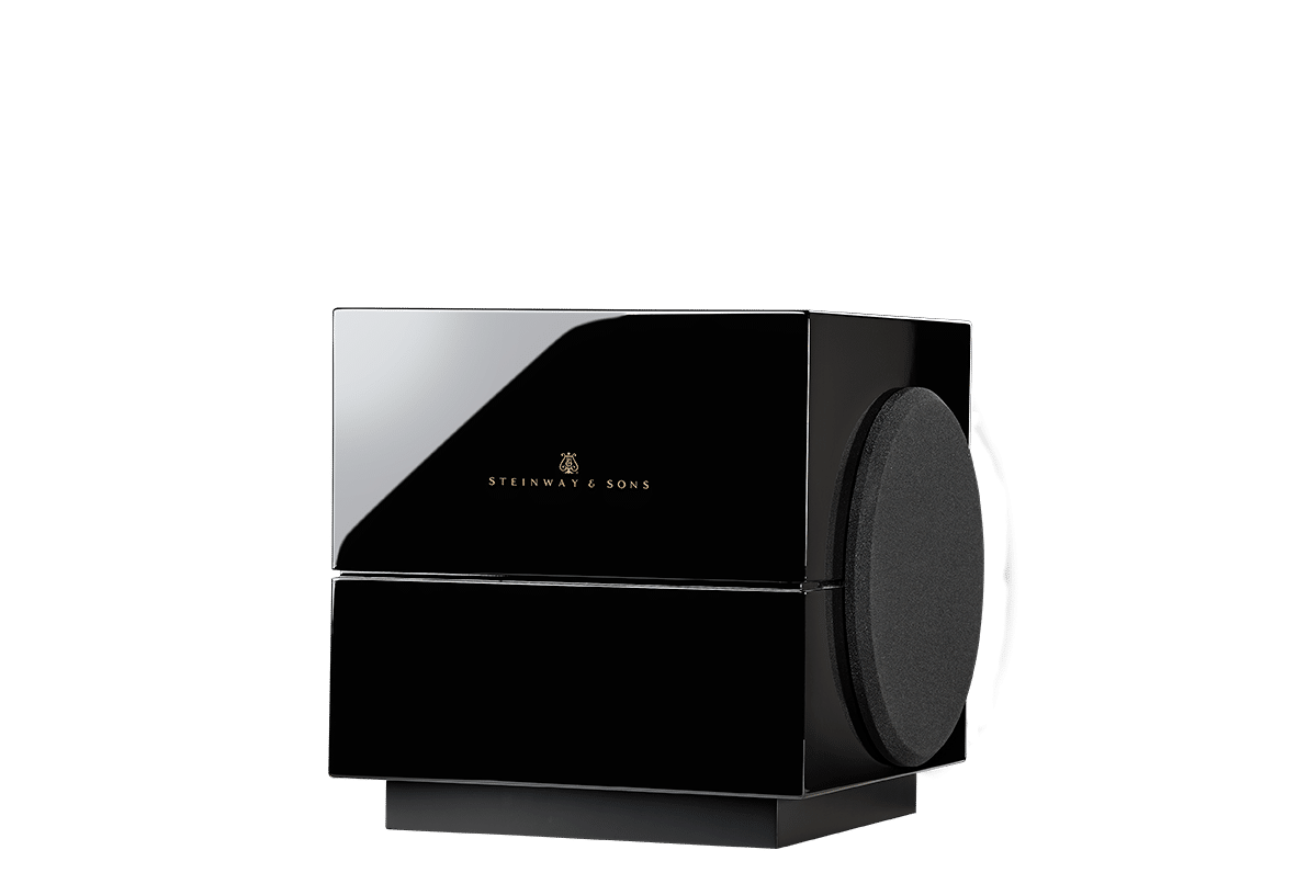 Głośnik steinway & lyngdorf model s-210