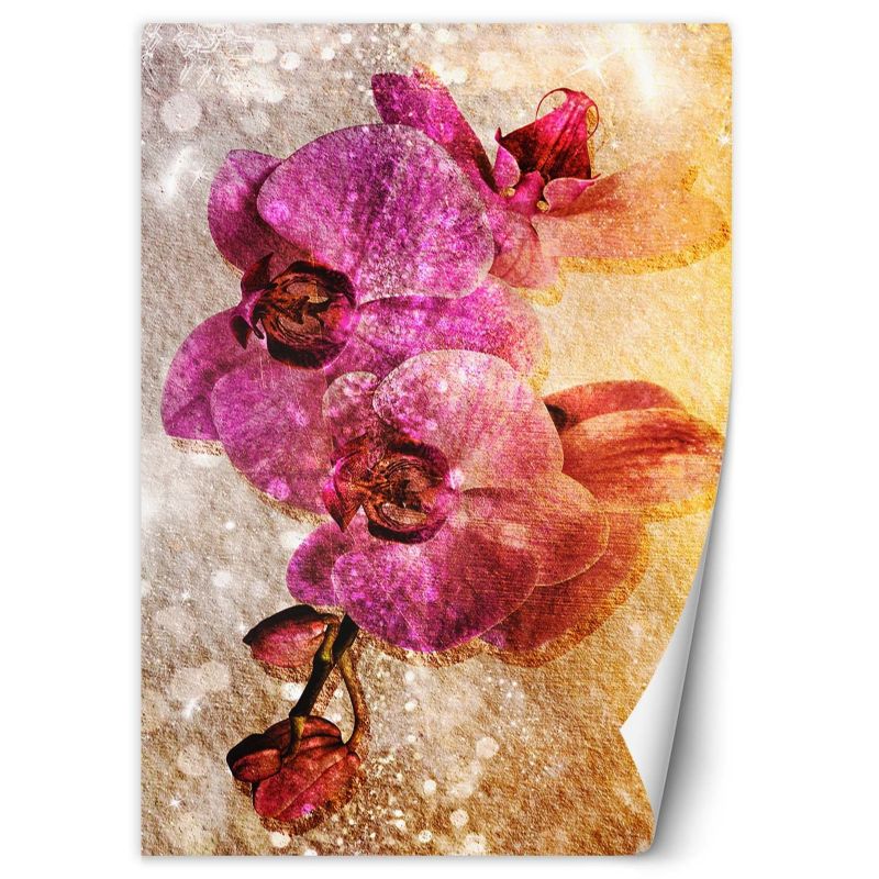 Fototapeta Feeby Fioletowe storczyki 100x140 1 szt