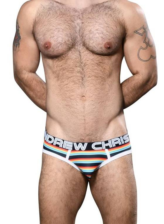 SLIPY MĘSKIE ANDREW CHRISTIAN - CALIFORNIA STRIPE BRIEF 92679