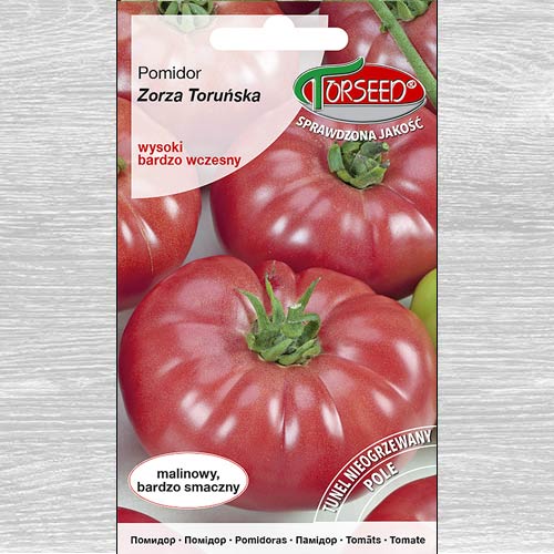 1 szt, Pomidor wysoki Zorza Toruńska - Nasiona: Ilość w opakowaniu: 0.5 g