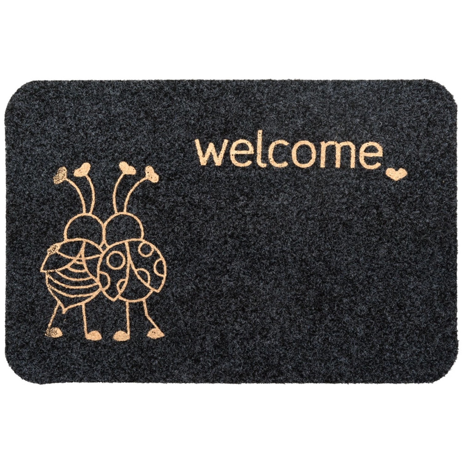 Wycieraczka Decora 40 x 60 cm biedronki