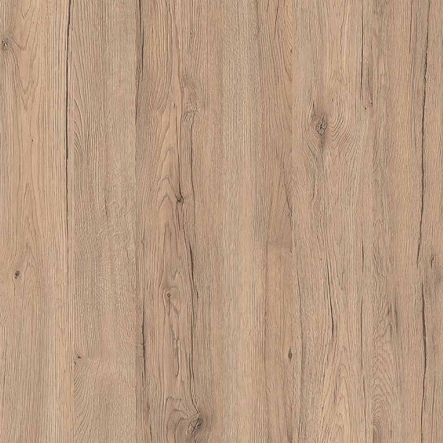 Okleina DĄB SANREMO 90 cm x 200 cm