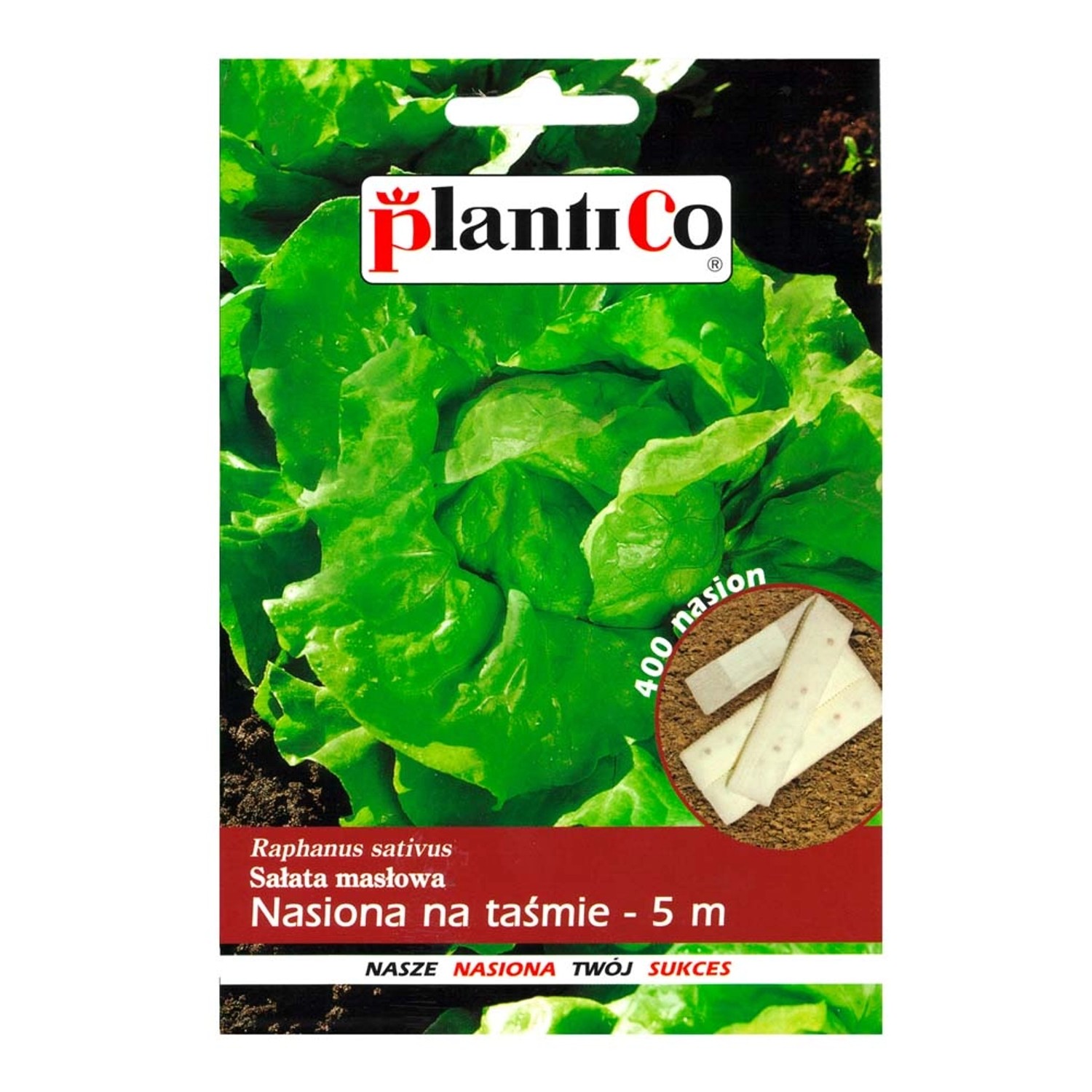 Sałata masłowa nasiona na taśmie - 5 m