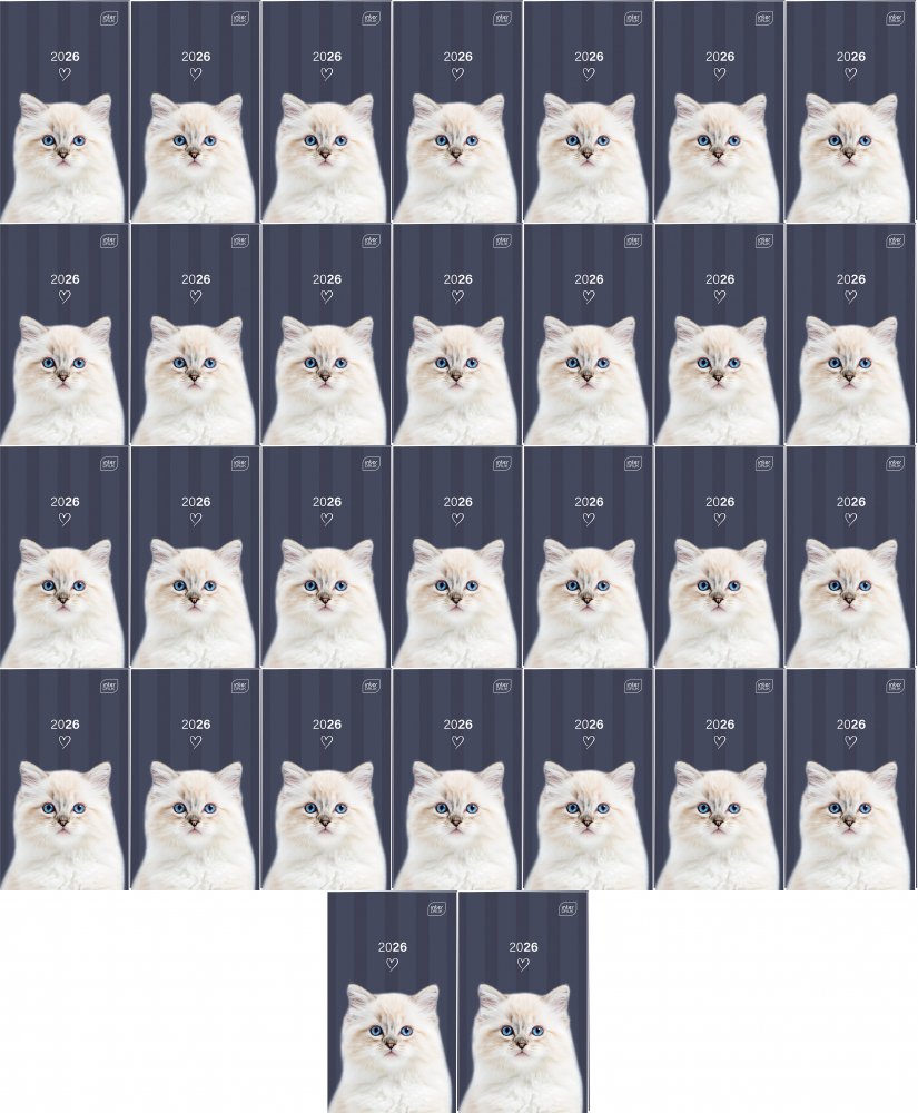 60x Kalendarz kieszonkowy 2026, Interduk, 9x15.5cm, tygodniowy, mix wzorów