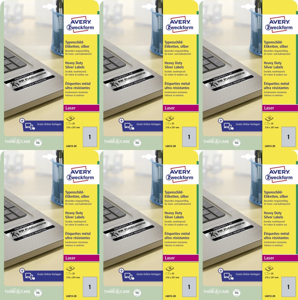 6x Etykiety znamionowe Avery Zweckform, 210x297mm, 20 arkuszy, srebrny