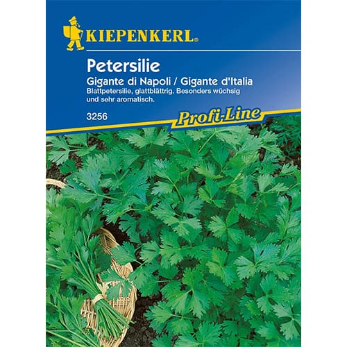 1 ob, Petržel zahradní Gigante di Napoli - : Monžstvo balíkov: 1 ob