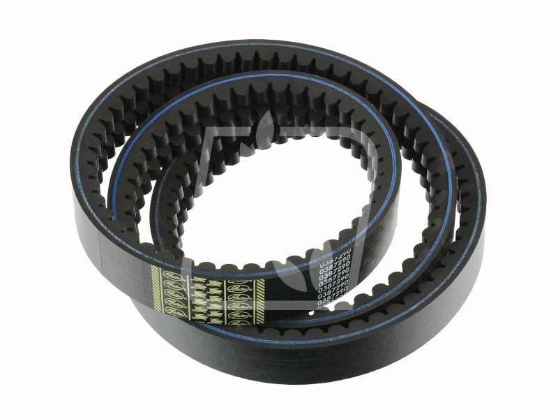 Pas Gates 0387290 0387290