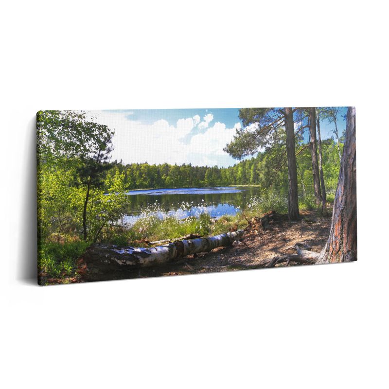 Obraz na płótnie Wallfluent 100x50 cm Widok na jezioro w lesie 1 szt.