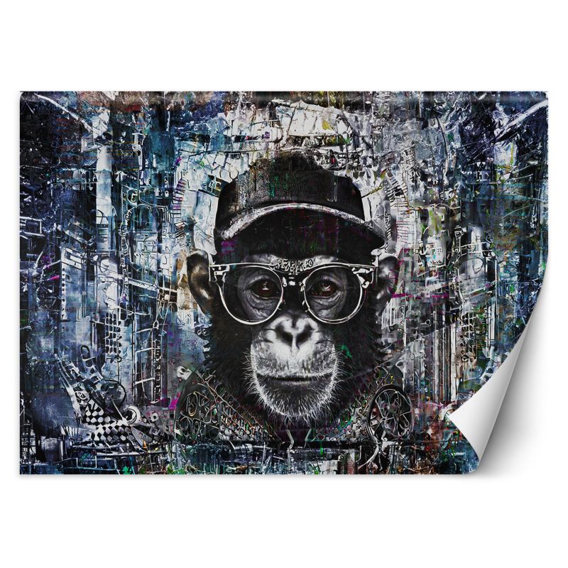 Fototapeta Feeby Szympans Małpa Abstrakcja 450x315 1 szt