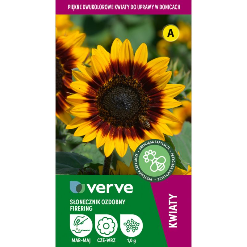 Nasiona słonecznik dwukolorowy Firering Verve